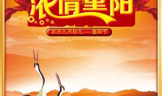 九月九日是纪念谁的节日